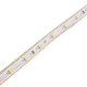 10M 35W Waterproof IP67 SMD 3528 600 LED Strip Rope Light Christmas Party Outdoor AC 220V