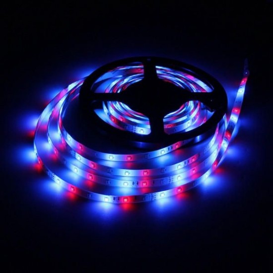 10M SMD2835 Non-Waterproof 600 LED RGB Strip Flexible Tape Light Kit + 24 Keys Controller DC12V