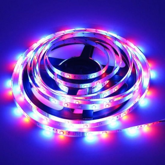 10M SMD2835 Waterproof 600 LED RGB Strip Flexible Tape Light Kit + 24 Keys Remote Controller DC12V