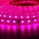 1/2/3/5M SMD5050 LED RGB Flexible Rope Outdoor Waterproof Strip Light + Plug + Remote Control AC110V 1/2/3/5M SMD5050 LED RGB Flexible Rope Outdoor Waterproof Strip Light + Plug + Remote Control AC110V