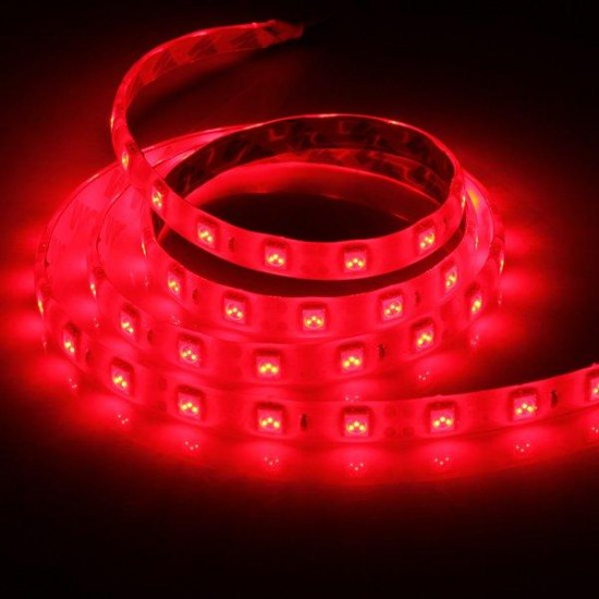 1M 5050 SMD 60LED Flexible LED Strip Light Red/Green/Blue Waterproof 12V