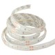 1M 5050 SMD 60LED Flexible LED Strip Light Red/Green/Blue Waterproof 12V 1M 5050 SMD 60LED Flexible LED Strip Light Red/Green/Blue Waterproof 12V