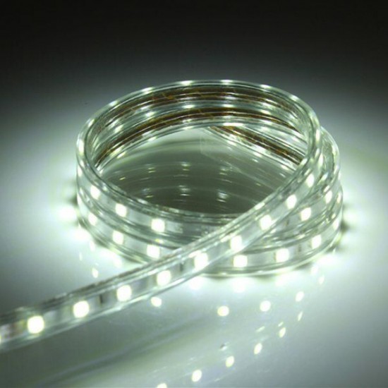 1M 5050 Waterproof IP67 Flexible Led Strip Light For XMAS Home Decor 110V