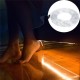 20M SMD3014 Waterproof Flexible 320LEDs Tape Ribbon Strip Light Colorful Warm White White AC220V 20M SMD3014 Waterproof Flexible 320LEDs Tape Ribbon Strip Light Colorful Warm White White AC220V