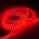 220V 3M 5050 LED SMD Outdoor Waterproof Flexible Tape Rope Strip Light Xmas 220V 3M 5050 LED SMD Outdoor Waterproof Flexible Tape Rope Strip Light Xmas