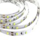 2M 36W DC 12V 120 SMD 5630 Non-Waterproof White/Warm White Red/Green/Blue LED Strip Flexible Light 2M 36W DC 12V 120 SMD 5630 Non-Waterproof White/Warm White Red/Green/Blue LED Strip Flexible Light