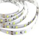 2M 36W DC 12V 120 SMD 5630 Non-Waterproof White/Warm White Red/Green/Blue LED Strip Flexible Light