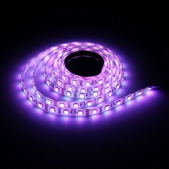 2M DC12V 28.8W 5050 Waterproof Red/Blue/Green/White/Warm White/RGB Flexible LED Strip Light 2M DC12V 28.8W 5050 Waterproof Red/Blue/Green/White/Warm White/RGB Flexible LED Strip Light