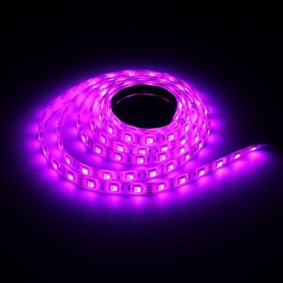 2M DC12V 28.8W 5050 Waterproof Red/Blue/Green/White/Warm White/RGB Flexible LED Strip Light