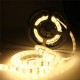 4M 72W DC 12V 240 SMD 5630 Waterproof White/Warm White Red/Green/Blue LED Strip Flexible Tape Light