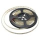 4M DC12V 19.2W 240 SMD 3528 Waterproof Red/Blue/Green/White/Warm White/RGB Flexible LED Strip Light