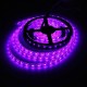 4M DC12V 57.6W 240 SMD 5050 Waterproof Red/Blue/Green/White/Warm White/RGB Flexible LED Strip Light 4M DC12V 57.6W 240 SMD 5050 Waterproof Red/Blue/Green/White/Warm White/RGB Flexible LED Strip Light