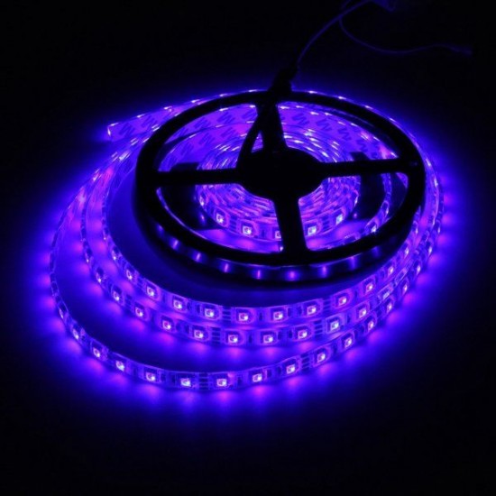 4M DC12V 57.6W 240 SMD 5050 Waterproof Red/Blue/Green/White/Warm White/RGB Flexible LED Strip Light