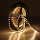 4mm Narrow Width DC12V 5M 2835 Flexible LED Strip Light Non-Waterproof for Home Indoor Bed Decor 4mm Narrow Width DC12V 5M 2835 Flexible LED Strip Light Non-Waterproof for Home Indoor Bed Decor