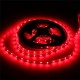 5M 10.8W DC12V LED Strip Light 3528 300 LEDs White/Warm White/Red/Blue With DC female Connector