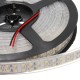 5M 120W DC12V Double Row 3528 SMD 1200 LED White/Warm White Waterproof Flexible Strip light 5M 120W DC12V Double Row 3528 SMD 1200 LED White/Warm White Waterproof Flexible Strip light