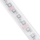 5M 12MM SMD3535 120LED/M IP68 Silicone Tube RGB LED Strip Light for Outdoor Swimming Poor Fish Tank DC12V 5M 12MM SMD3535 120LED/M IP68 Silicone Tube RGB LED Strip Light for Outdoor Swimming Poor Fish Tank DC12V