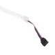 5M 12MM SMD3535 120LED/M IP68 Silicone Tube RGB LED Strip Light for Outdoor Swimming Poor Fish Tank DC12V 5M 12MM SMD3535 120LED/M IP68 Silicone Tube RGB LED Strip Light for Outdoor Swimming Poor Fish Tank DC12V