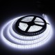 5M 15W DC12V 600 SMD 2835 Waterproof IP65 White/Warm White Tape LED Flexible Strip light 5M 15W DC12V 600 SMD 2835 Waterproof IP65 White/Warm White Tape LED Flexible Strip light