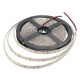 5M 15W DC12V 600 SMD 2835 Waterproof IP65 White/Warm White Tape LED Flexible Strip light 5M 15W DC12V 600 SMD 2835 Waterproof IP65 White/Warm White Tape LED Flexible Strip light