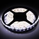 5M 24W 300LEDs SMD 3528 Pure White Warm White Flexible LED Strip Light Waterproof DC12V