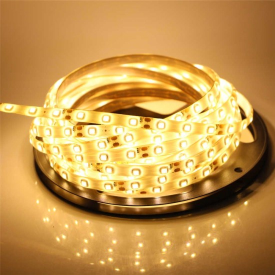 5M 24W 300LEDs SMD 3528 Pure White Warm White Flexible LED Strip Light Waterproof DC12V