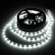 5M 24W DC12V 300 SMD 2835 White/Warm White/Blue/Red/Green/RGB LED Flexible Strip light 5M 24W DC12V 300 SMD 2835 White/Warm White/Blue/Red/Green/RGB LED Flexible Strip light