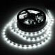 5M 24W DC12V 300 SMD 2835 White/Warm White/Blue/Red/Green/RGB LED Flexible Strip light