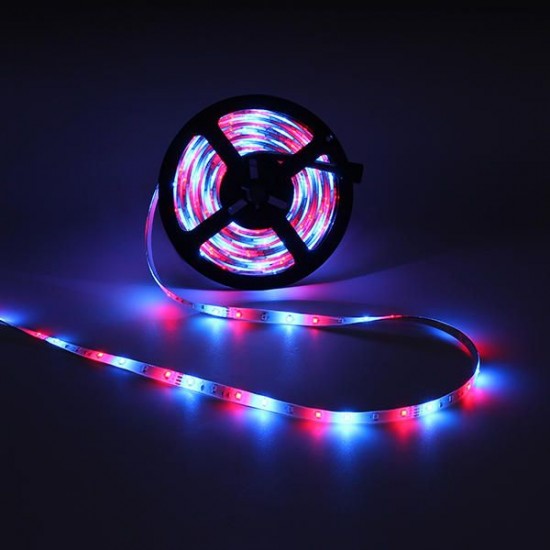 5M 300 LED SMD3528 Waterproof RGB Flexible Strip with Music Controller DC12V 2A Power Adapter 5M 300 LED SMD3528 Waterproof RGB Flexible Strip with Music Controller DC12V 2A Power Adapter