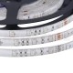 5M 300 LED SMD3528 Waterproof RGB Flexible Strip with Music Controller DC12V 2A Power Adapter 5M 300 LED SMD3528 Waterproof RGB Flexible Strip with Music Controller DC12V 2A Power Adapter