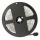 5M 300LED Strip Light SMD3528 Warm White Pure White RGB Flexible Indoor Home Lighting Non-Waterproof DC12V 5M 300LED Strip Light SMD3528 Warm White Pure White RGB Flexible Indoor Home Lighting Non-Waterproof DC12V