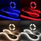 5M 30W LED Strip Flexible Light 300 SMD 5630 White/Warm White/Red/Blue Waterproof IP65 DC12V