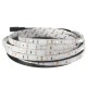 5M 30W LED Strip Flexible Light 300 SMD 5630 White/Warm White/Red/Blue Waterproof IP65 DC12V 5M 30W LED Strip Flexible Light 300 SMD 5630 White/Warm White/Red/Blue Waterproof IP65 DC12V