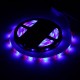 5M 3528 SMD 300LED RGB Waterproof Flexible Strip Light 44 keys Remote Control EU Plug DC12V 5M 3528 SMD 300LED RGB Waterproof Flexible Strip Light 44 keys Remote Control EU Plug DC12V