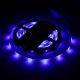 5M 3528 SMD 300LED RGB Waterproof Flexible Strip Light 44 keys Remote Control EU Plug DC12V 5M 3528 SMD 300LED RGB Waterproof Flexible Strip Light 44 keys Remote Control EU Plug DC12V
