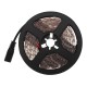 5M 3528SMD Non-waterproof UV Purple LED Strip Light with DC Connector DC12V 5M 3528SMD Non-waterproof UV Purple LED Strip Light with DC Connector DC12V