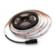 5M 3528SMD Non-waterproof UV Purple LED Strip Light with DC Connector DC12V 5M 3528SMD Non-waterproof UV Purple LED Strip Light with DC Connector DC12V