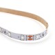 5M 3528SMD Non-waterproof UV Purple LED Strip Light with DC Connector DC12V 5M 3528SMD Non-waterproof UV Purple LED Strip Light with DC Connector DC12V