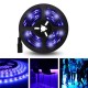 5M 3528SMD Non-waterproof UV Purple LED Strip Light with DC Connector DC12V