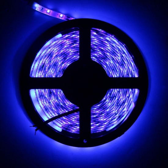 5M 3528SMD Non-waterproof UV Purple LED Strip Light with DC Connector DC12V 5M 3528SMD Non-waterproof UV Purple LED Strip Light with DC Connector DC12V