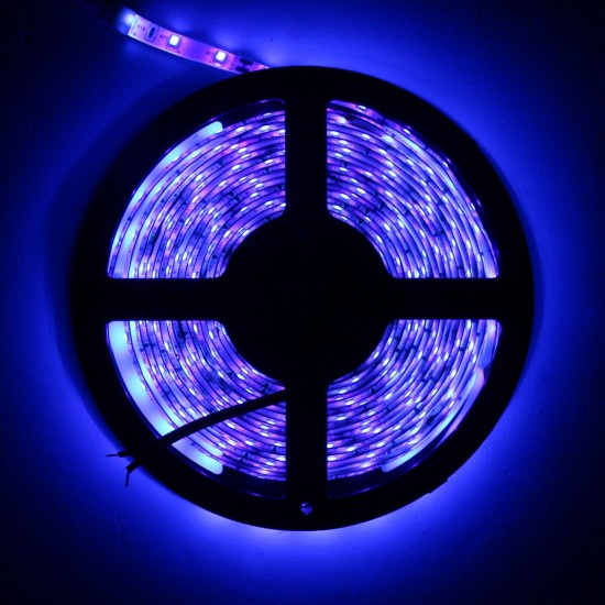 5M 3528SMD Non-waterproof UV Purple LED Strip Light with DC Connector DC12V