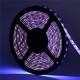 5M 36W 3528SMD Waterproof Flexible Purple 300 LED Strip Light with DC Connector DC12V