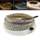 5M 4 Pins SMD2835 Non-Waterproof Double Color Warm White Pure White LED Strip Light DC12V 5M 4 Pins SMD2835 Non-Waterproof Double Color Warm White Pure White LED Strip Light DC12V