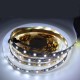 5M 4 Pins SMD2835 Non-Waterproof Double Color Warm White Pure White LED Strip Light DC12V 5M 4 Pins SMD2835 Non-Waterproof Double Color Warm White Pure White LED Strip Light DC12V