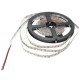 5M 48W DC12V 600 SMD 2835 Non-Waterproof White/Warm White Tape LED Flexible Strip light 5M 48W DC12V 600 SMD 2835 Non-Waterproof White/Warm White Tape LED Flexible Strip light