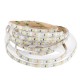5M 4Pins Waterproof SMD2835 Double Color Warm White and Pure White LED Strip Light DC12V 5M 4Pins Waterproof SMD2835 Double Color Warm White and Pure White LED Strip Light DC12V