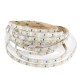 5M 4Pins Waterproof SMD2835 Double Color Warm White and Pure White LED Strip Light DC12V