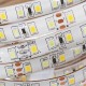 5M 4Pins Waterproof SMD2835 Double Color Warm White and Pure White LED Strip Light DC12V 5M 4Pins Waterproof SMD2835 Double Color Warm White and Pure White LED Strip Light DC12V