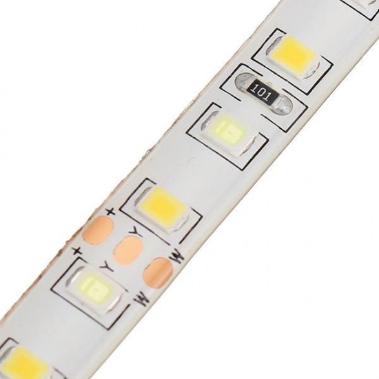 5M 4Pins Waterproof SMD2835 Double Color Warm White and Pure White LED Strip Light DC12V