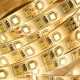 5M 4Pins Waterproof SMD2835 Double Color Warm White and Pure White LED Strip Light DC12V